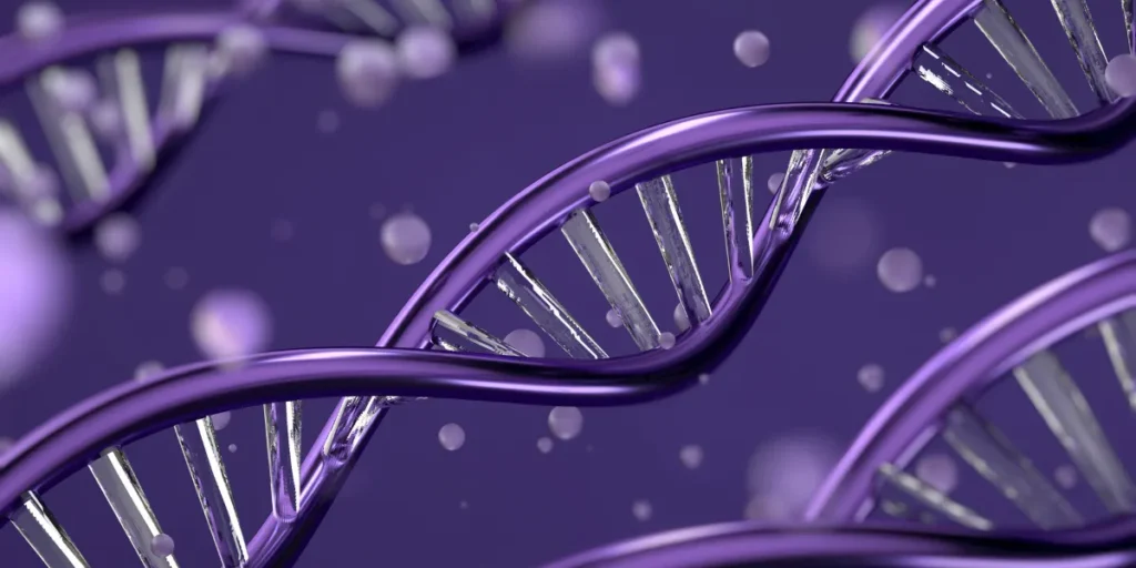 stem cells regeneration