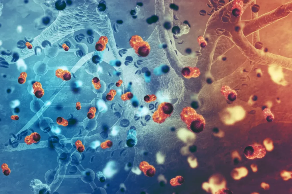 stem cells