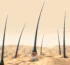 stem cells hair growth (1)
