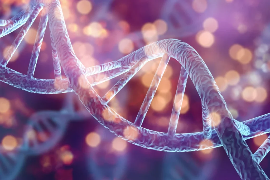 torn calf muscle recovery time