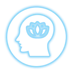 Detoxification Support