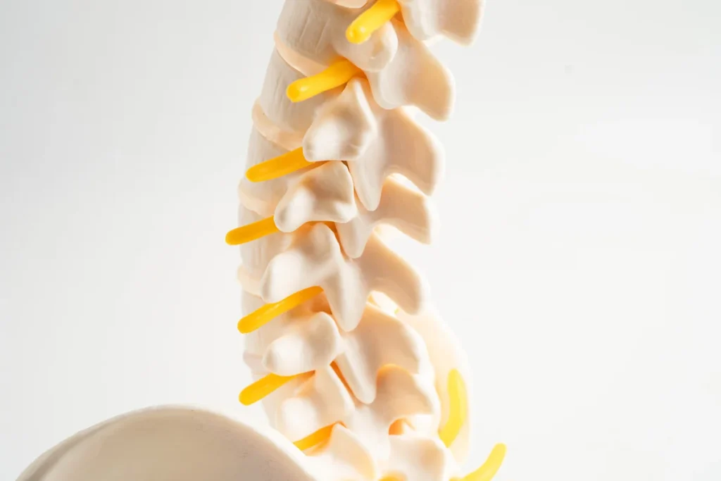 can you fix a herniated disc without surgery